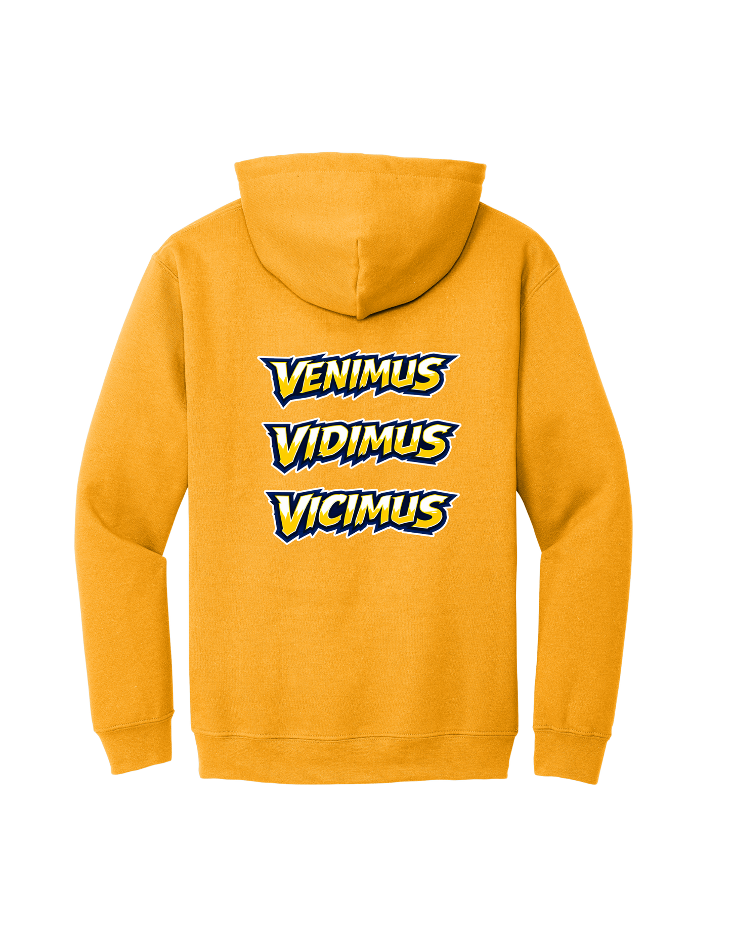 Wildcats Hoodie Option 2