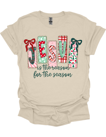 Jesus Is The Reason T-Shirt