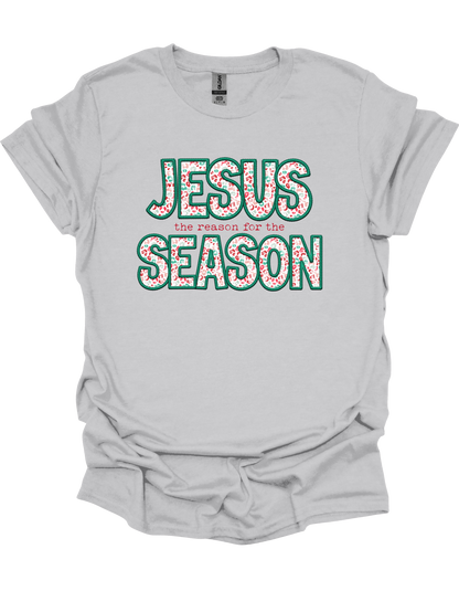 Leopard Jesus is the Reason T-Shirt