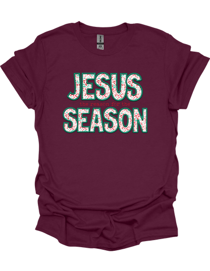 Leopard Jesus is the Reason T-Shirt