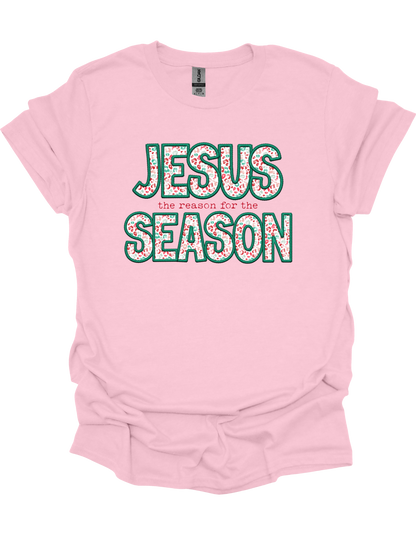 Leopard Jesus is the Reason T-Shirt