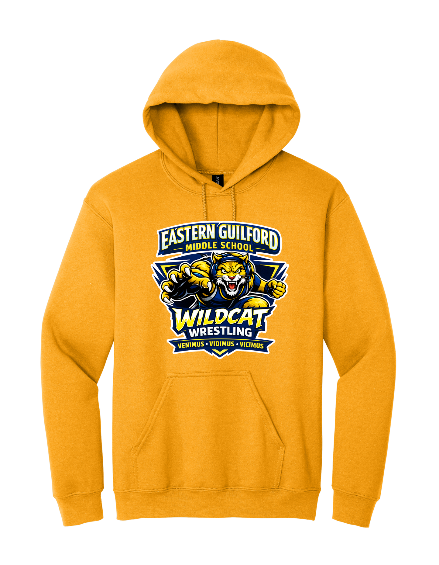 Wildcats Hoodie Option 2