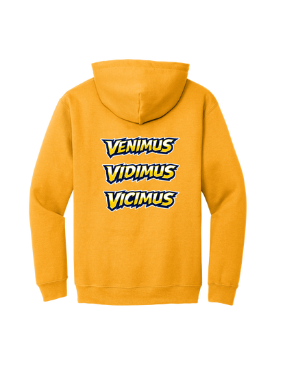 Wildcats Hoodie Option 2