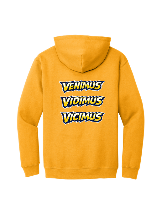 Wildcats Hoodie Option 1