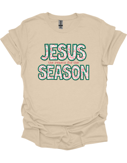 Leopard Jesus is the Reason T-Shirt