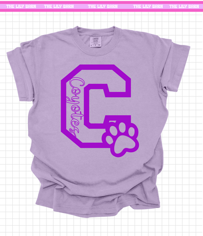 ACS - Adult C T-Shirt COMFORT COLOR OPTION