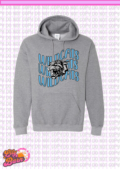 East Chapel Hill Wildcats Repeat Hoodie